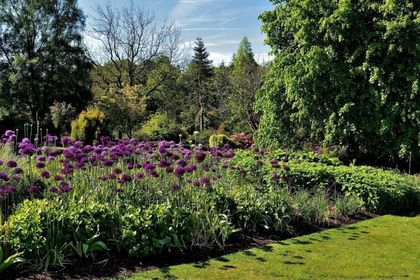 A guide to Royal Horticultural Society gardens | Age Co Mobility