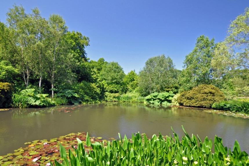 A guide to Royal Horticultural Society gardens | Age Co Mobility