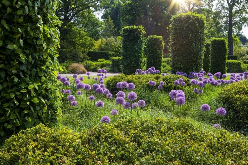 a-guide-to-royal-horticultural-society-gardens-age-co-mobility